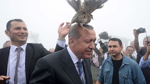 Turkiyada masjid ochilishida Erdo‘g‘onga kaklik hujum qildi (video)