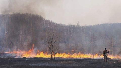 Medvedev Rossiya favqulodda vaziyatlar vaziriga Sibirdagi yong‘inlar hududiga tezda yetib borishni topshirdi