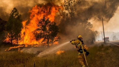Kaliforniiyada yong‘inlar tufayli favqulodda holat e’lon qilindi 