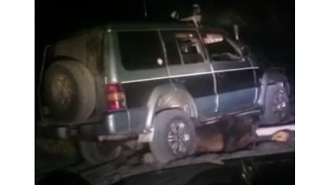 Rossiyada ayiqni mashinada sakkiz marta bosib o‘tgan kishilar qidirilmoqda (video)