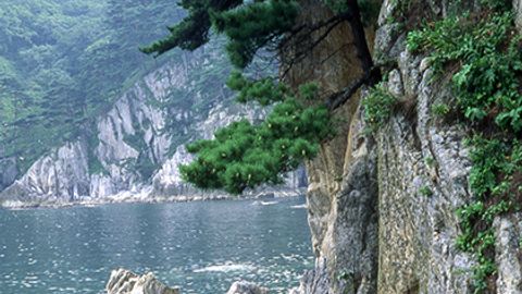 Россияда 15 ёшли қиз селфига тушмоқчи бўлиб, 30 метрли қоядан қулади