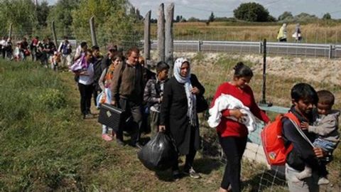Germaniya muhojirlarni aldashga qarshi tashviqot ishlarini boshladi