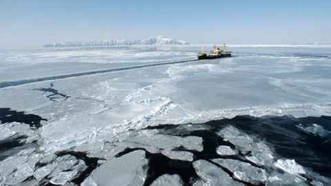 Abadiy muzloq yerlarning erishidan yetadigan zarar o‘nlab trillion dollarga baholandi