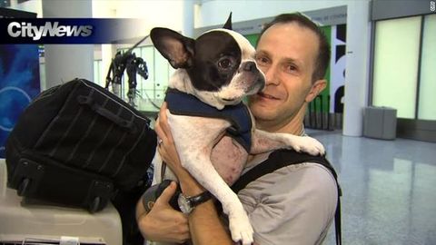 Air Canada самолёти учувчиси итнинг хавфсизлигини ўйлаб, парвозни тўхтатди 