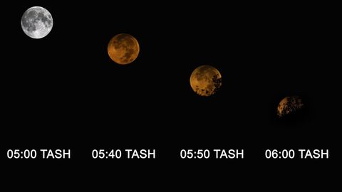 Фотограф жигарранг Ойнинг Ўзбекистондан кўринишини суратга олди (фото)