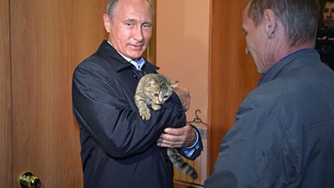 Putin Xakasiyada Murka laqabli mushuk bilan suratga tushdi