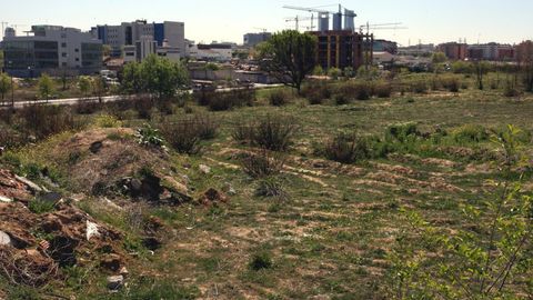 Yevropa komissiyasi “Real Madrid”ga qarshi tergov harakatlarini boshladi