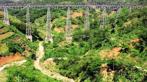 Indoneziyadagi o‘rmon yong‘inida 7 kishi qurbon bo‘ldi