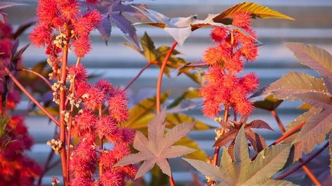 23-oktabrdan O‘zbekistonda havo haroratining pasayishi kutilmoqda