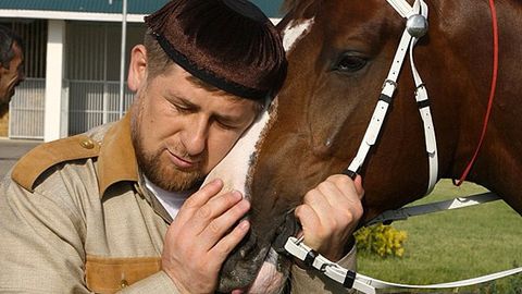 Ramzan Qodirovning tulpori poygada Toyota Land Cruiser 200 avtomobilini yutib oldi