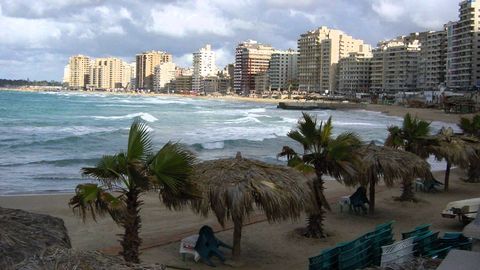 Misrda dovul va do‘l aralash yoqqan jala oqibatida 8 kishi halok bo‘ldi