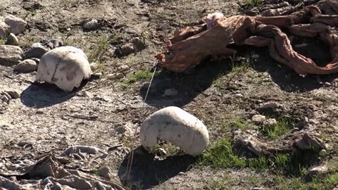 Iroqda yazidlarning ommaviy qabri topildi