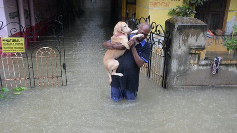 Hindiston janubidagi suv toshqini qurbonlari soni 176 nafarga yetdi
