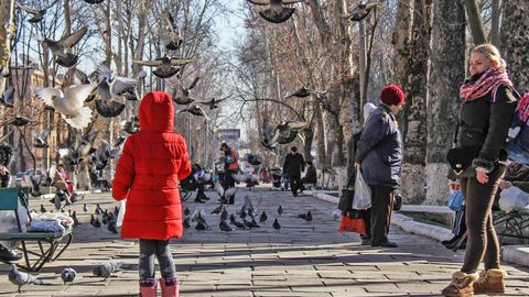 Toshkentning qaysi maydonida kabutarlarni qo‘lda boqsa bo‘ladi?
