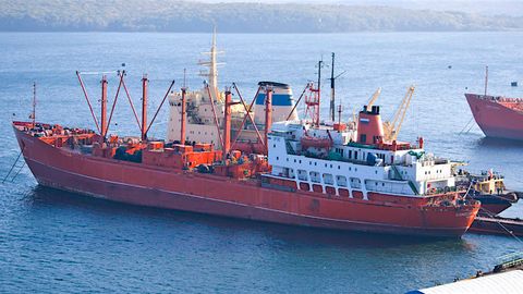 Rossiya kemasi aynigan baliq tufayli Xitoyda hibsga olindi