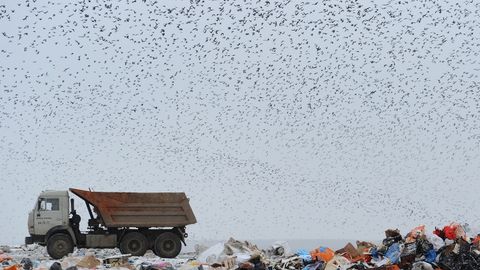 Bitta mobil telefonni ishlab chiqarishda 86 kg chiqindi hosil bo‘lishi aniqlandi