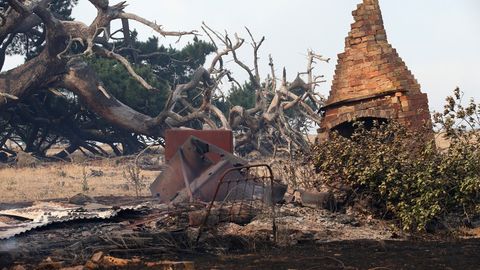 Avstraliya janubidagi tabiiy yong‘inlar 50 dan ziyod uyni vayron qildi