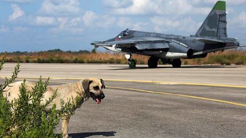 Rossiya aviatsiyasi Suriyaning muxolifat rahbarlaridan birini yo‘q qildi