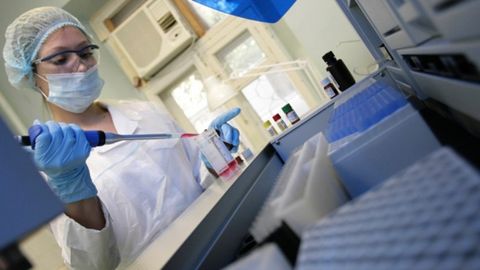 A321 aviahalokati qurbonlarining genetik ekspertizasi yakunlandi