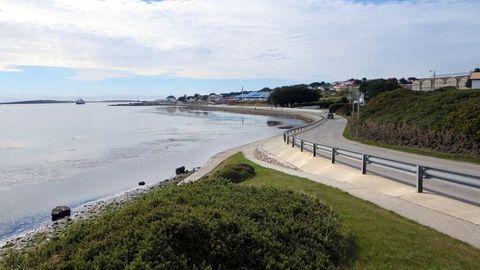 Аргентинанинг янги ҳукумати Фолкленд ороллари учун курашиш ниятини маълум қилди