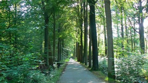 11-yanvar – Qo‘riqxona va milliy bog‘lar kuni munosabati bilan Tabiatni qo‘riqlash davlat qo‘mitasida uchrashuv bo‘lib o‘tdi