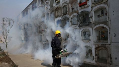 Salvador hukumati Zika bezgagi tufayli mamlakat ayollaridan 2 yil farzand ko‘rmaslikni so‘radi