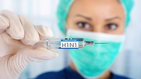 Gruziyada cho‘chqa grippidan 10 kishi halok bo‘ldi