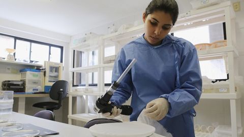 Argentina rasmiylari Zika virusiga chalinishning ikkinchi holati qayd etilganini tasdiqladi