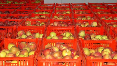 Ўзбекистоннинг тўрт вилоятида янги логистика марказлари ташкил этилади