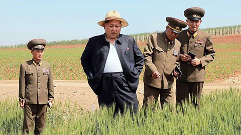 KXDR hukumati fuqarolarni ocharchilikka tayyorlanishga chaqirdi