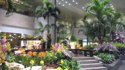 Dunyoning eng yaxshi aeroportlari e’lon qilindi