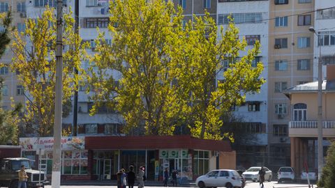 O‘zbekistondan 261 nafar chet ellik va fuqaroligi yo‘q shaxslar chiqarib yuborildi