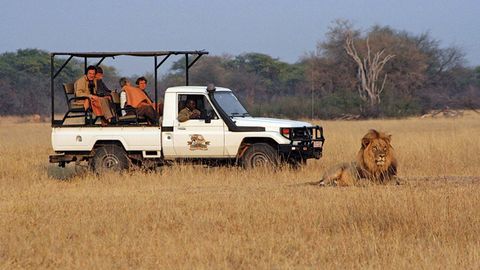 Zimbabvedagi safari bog‘ida ikki Italiya fuqarosi o‘ldirildi