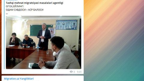 Меҳнат миграцияси бўйича саволларга Telegram-бот жавоб беради