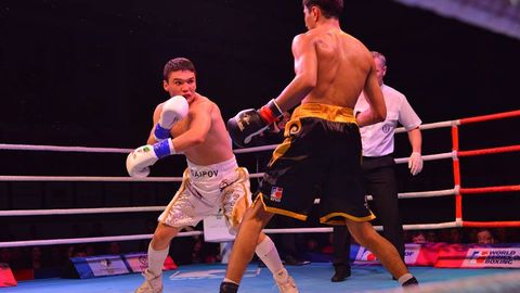 Uzbek Tigers жамоаси Бутунжаҳон бокс серияси доирасида амалдаги чемпионга мағлуб бўлди