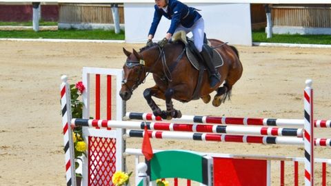 Toshkent viloyatida ot sporti bo‘yicha jahon kubogining Markaziy Osiyo ligasi 1-saralash bosqichi boshlandi