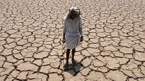 Hindistonning Telangana shtatida jazirama tufayli 219 kishi halok bo‘ldi