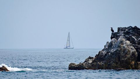 Россия ТИВ КХДРга «Элфин» яхтаси қўлга олиниши сабабини изоҳлаш талаб этилган нота юборди