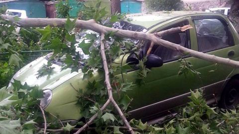 O‘zbekistonda sug‘urta kompaniyalari tabiiy ofat avtomobilga yetkazgan zararni qoplaydimi?