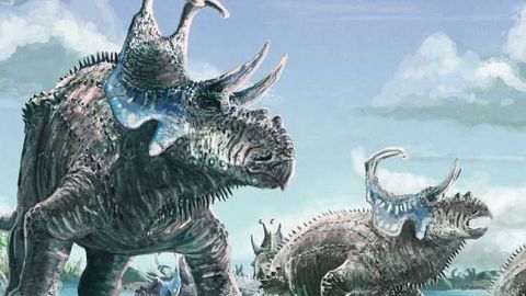 AQShda shoxli dinozavrlarning yangi turi qoldiqlari topildi