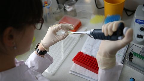 Rossiyalik olimlar tezlatgich yordamida saratonni davolash bo‘yicha muvaffaqiyatli tajriba o‘tkazdi