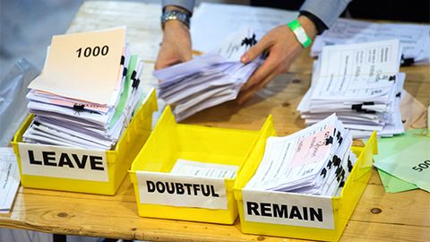 Brexit bo‘yicha qaytadan referendum o‘tkazish haqidagi petitsiyani Yevroittifoqning ashaddiy dushmani tuzgan