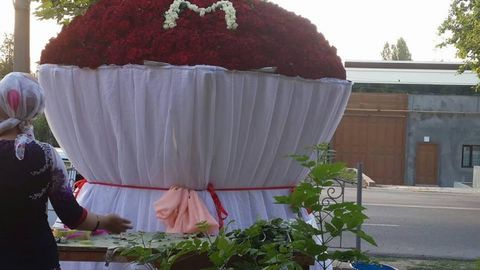 Toshkentlik erkak rafiqasiga 7,5 ming dona atirguldan iborat guldasta sovg‘a qildi