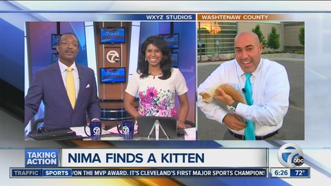 Mushukcha tufayli AQSh televideniyesining jonli efirida to‘xtalish yuz berdi (video)