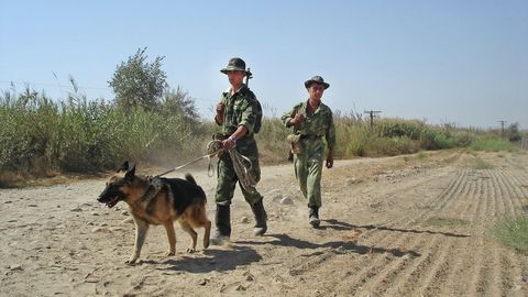 Tojikiston va Afg‘oniston chegarasida chegarachilar va narkofurushlar o‘rtasida otishma sodir bo‘ldi