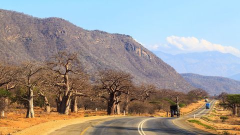 Танзанияда икки автобус тўқнашувида 30 киши ҳалок бўлди