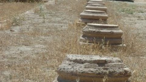 Chikago universiteti olimlari Termizga tashrif buyurdi