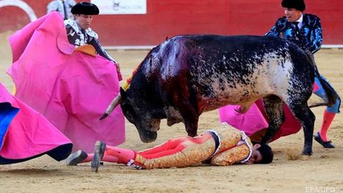 Ispaniyada 30 yildan beri birinchi bor toreador korridada halok bo‘ldi