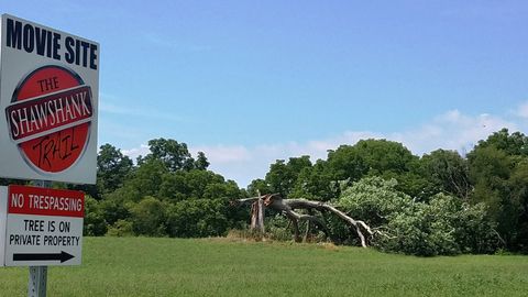 АҚШда «Шоушенкдан қочиш» фильмида кўрсатилган эман дарахти йиқилди