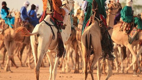 Nigeriyada ko‘chmanchilar va dehqonlar o‘rtasidagi to‘qnashuvlarda o‘nlab insonlar halok bo‘ldi